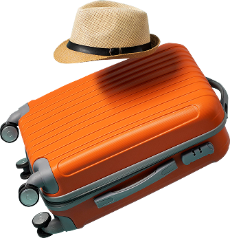 Скачайте посадочные талоны в личном кабинете после оплаты